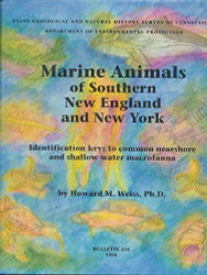 Marine animals of southern New England and New York
