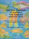 Marine animals of southern New England and New York