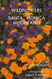 Wildflowers of the Santa Monica Mountains