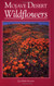 Mojave Desert Wildflowers