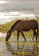 The Wild Horse Dilemma: Conflicts and Controversies of the Atlantic