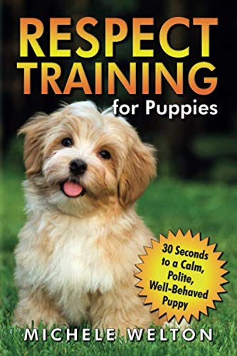 Respect Training for Puppies: 30 Seconds to a Calm Polite