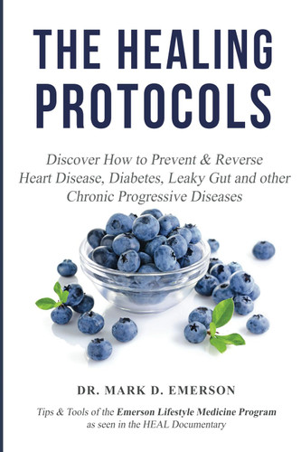 The Healing Protocols