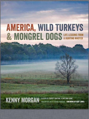 America Wild Turkeys & Mongrel Dogs