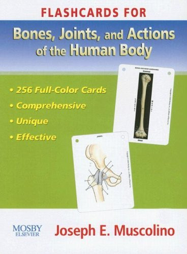Flashcards For Bones Joints And Actions Of The Human Body