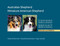 Australian Shepherd Miniature American Shepherd
