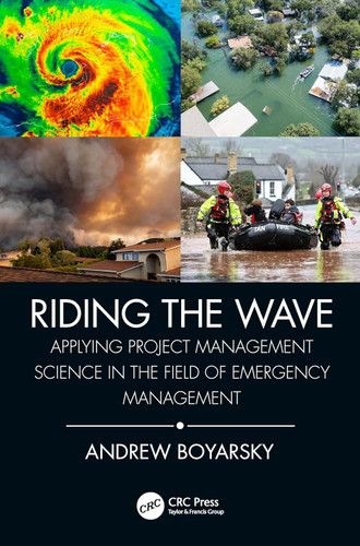 Riding the Wave (Security Audit and Leadership Series)