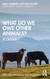 What Do We Owe Other Animals?