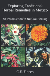 Exploring Traditional Herbal Remedies in Mexico