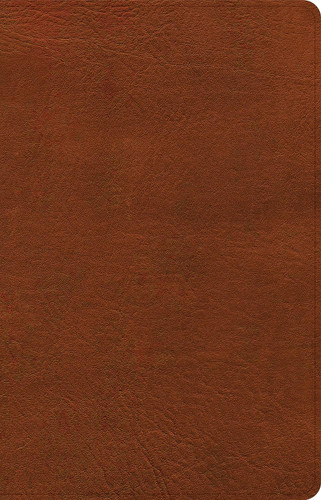 NASB Large Print Personal Size Reference Bible Burnt Sienna