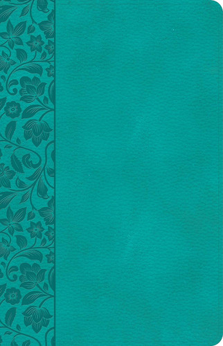 CSB Large Print Personal Size Reference Bible Teal LeatherTouch Red