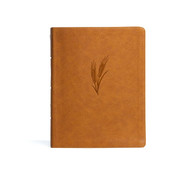 KJV Notetaking Bible Large Print Edition Brown LeatherTouch Black