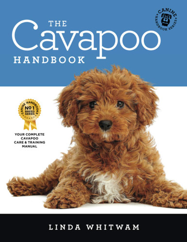 The Cavapoo Handbook: The Essential Guide for New & Prospective