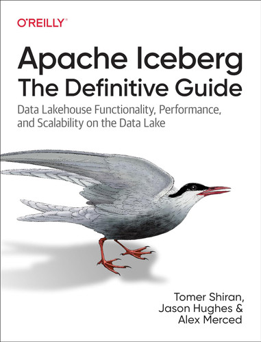 Apache Iceberg: The Definitive Guide: Data Lakehouse Functionality