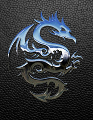 Dragon Sketchbook