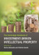 The Cambridge Handbook of Investment-Driven Intellectual Property