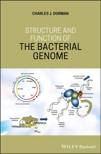 Structure and Function of the Bacterial Genome