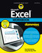 Excel Workbook For Dummies