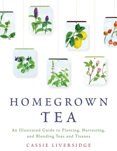 Homegrown Tea: An Illustrated Guide to Planting Harvesting and