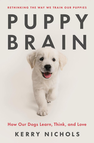 Puppy Brain: How Our Dogs Learn Think and Love