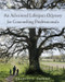 An Advanced Lifespan Odyssey for Counseling Professionals