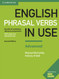 English Phrasal Verbs in Use Advanced Book with Answers: Vocabulary