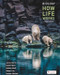 Biology: How Life Works Paperback