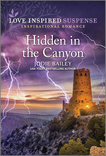 Hidden in the Canyon (Love Inspired Suspense)