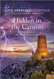 Hidden in the Canyon (Love Inspired Suspense)