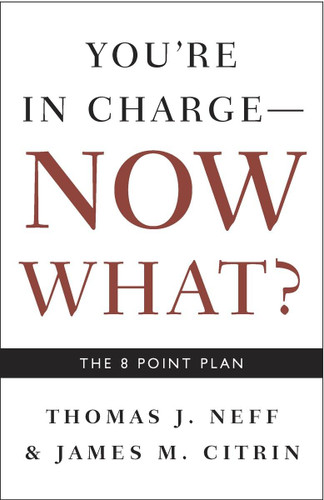 You're in Charge Now What?: The 8 Point Plan
