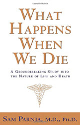What Happens When We Die?: A Groundbreaking Study into the Nature of