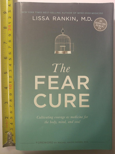 The Fear Cure