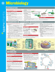 Microbiology SparkCharts (Volume 42)