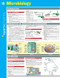 Microbiology SparkCharts (Volume 42)