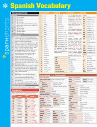 Spanish Vocabulary SparkCharts (Volume 66)