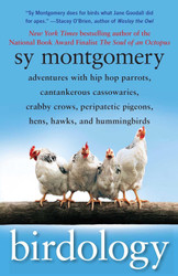 Birdology: Adventures with Hip Hop Parrots Cantankerous Cassowaries