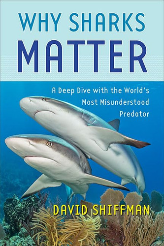 Why Sharks Matter: A Deep Dive with the World's Most Misunderstood Why Sharks Matter: A Deep Dive with the World's Most Misunderstood