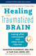 Healing the Traumatized Brain: Coping after Concussion and Other