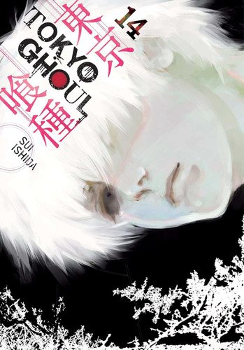 Tokyo Ghoul Vol. 14 (14)