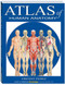 Atlas Of Human Anatomy (Quickstudy Books)
