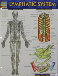 Lymphatic System (Quick Study Academic)