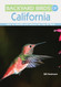 Backyard Birds of California: How to Identify and Attract the Top 25