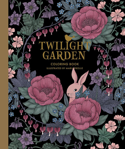 Twilight Garden Coloring Book: Published in Sweden as