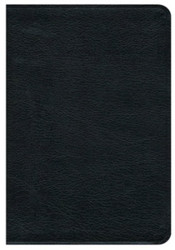 New Revised Standard Version Premium Gift Bible
