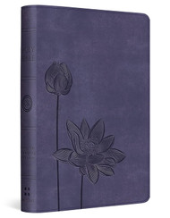 ESV Compact Travel Bible to Fit Pocket or Purse