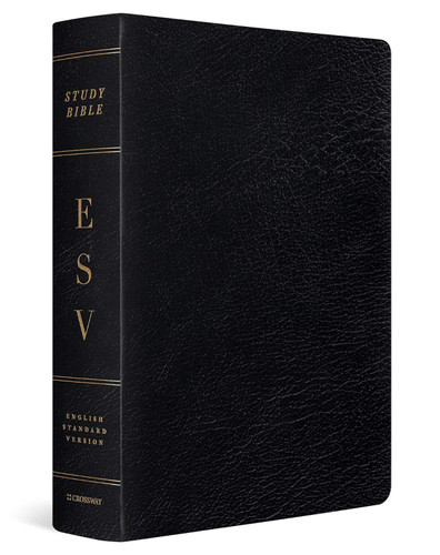 Black Indexed Study Bible Large Print w/ Study Notes - ESV