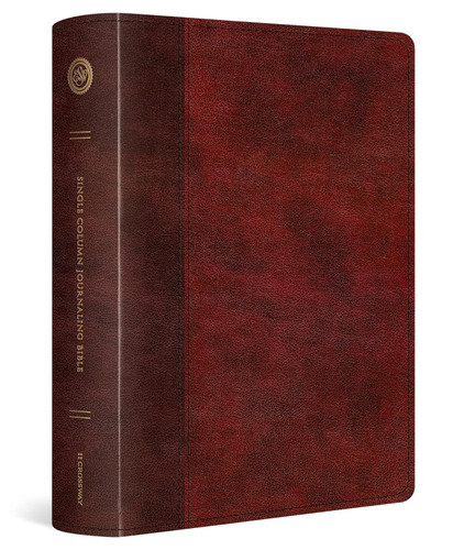 ESV Single Column Journaling Bible Large Print