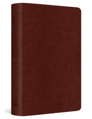 Easy Carry Ultra Thin Pocket Bible