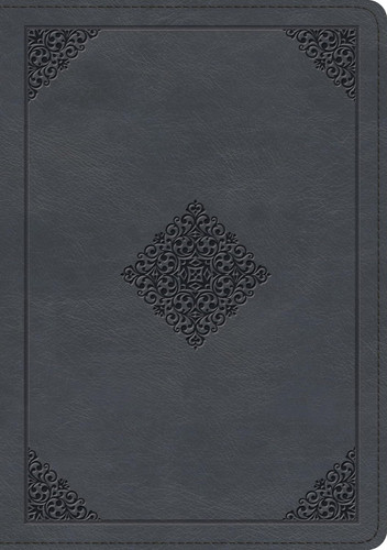 ESV Large Print Wide Margin Bible
