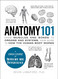 Anatomy 101: From Muscles and Bones to Organs and Systems Your Guide